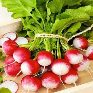 Редис КБК фото