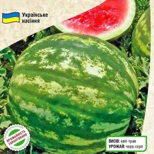 Арбуз Княжич фото