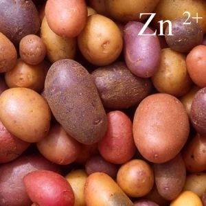 Кода Zn-L (для картофеля из БИО.) фото
