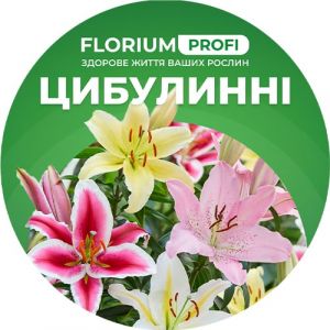 Удобрение для луковичных цветов (Florium Profi универсальное) 4м. 500г фото