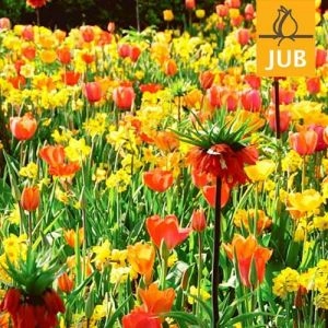 Микс ландшафтный Flower Art (Брендовые луковицы Jub Holland) фото