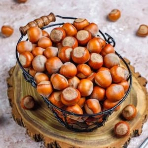 Фундук Шедевр фото