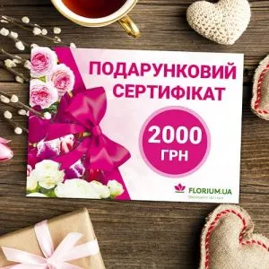2000 грн - подарочный сертификат фото