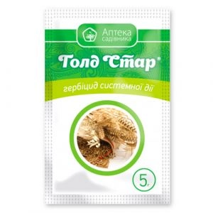 Голд Стар в.г. фото
