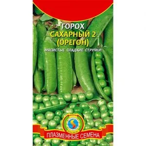 Горох Орегон фото