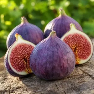 Инжир Киевский крупноплодный фото