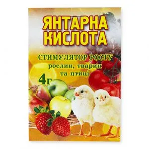 Янтарная кислота фото