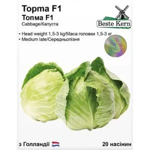 Капуста белокочанная Топма F1, ТМ Beste Kern фото