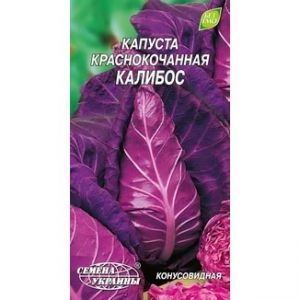 Капуста краснокочанная Калибос фото
