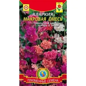 Кларкия махровая смесь фото