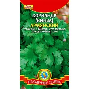 Кориандр Армянский фото