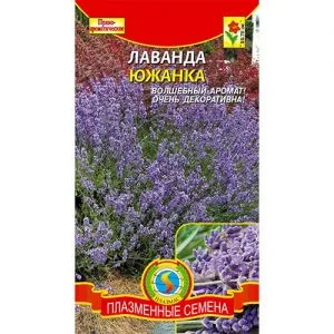 Лаванда Южанка фото