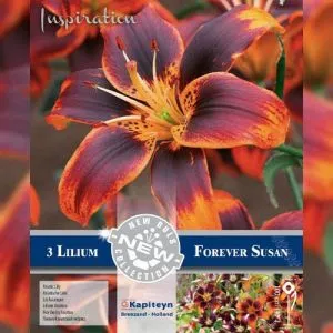 Лилия Forever Susan (Брендовые луковицы KAPITEYN®) фото