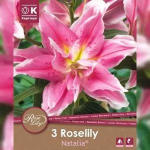 Лилия Roselily Natalia (Брендовые луковицы KAPITEYN®) фото