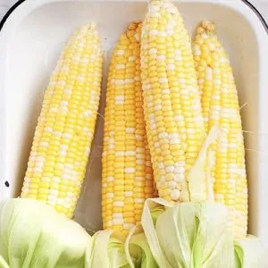 Кукуруза Маричка фото