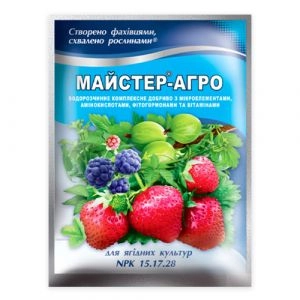 Удобрение Мастер-Агро для ягодных культур 15.17.28 100г фото