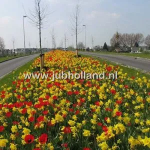 Микс ландшафтный Arnhem фото