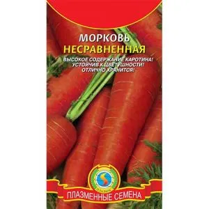 Морковь Несравненная фото