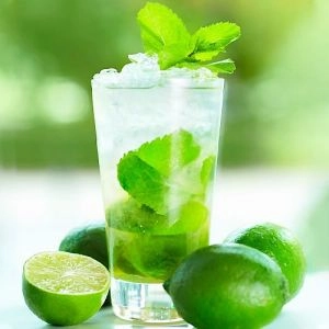 Мята Mojito фото