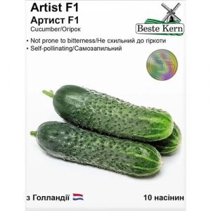Огурец Артист F1, ТМ Beste Kern фото
