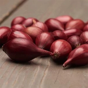 Лук Red Kamal фото