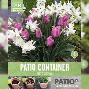 Патио Контейнер Тюльпаны Pink и Нарцисс White (Брендовые луковицы KAPITEYN®) фото