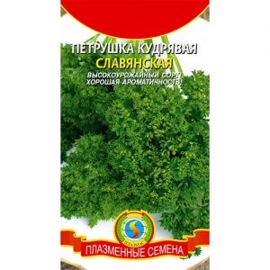 Петрушка Славянская фото