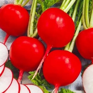 Редис Престо 10г фото