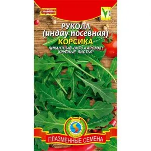 Руккола Корсика фото