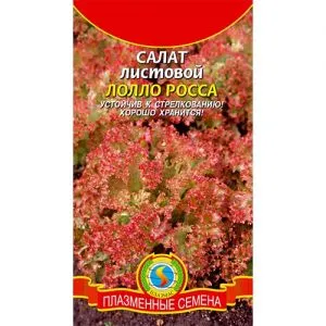 Салат Лолло Росса фото
