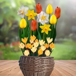 Набор цветочной лазаньи Sunny Bloom фото