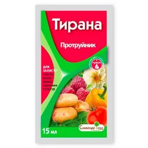 Тирана фото