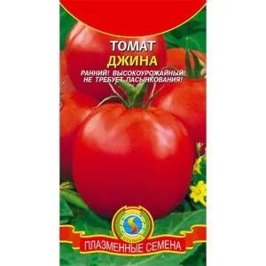 Томат Джина фото