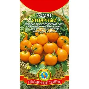 Томат Янтарный фото