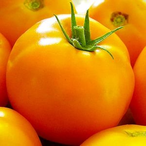 КОЛЛЕКЦИОННЫЕ ТОМАТЫ ᐉ купить коллекционные семена помидор в Украиненедорого почтой