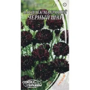 Василек махровый Черный шар фото
