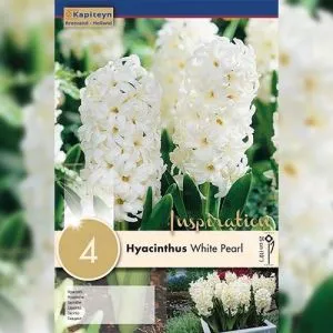 Гиацинт White Pearl (Брендовые луковицы KAPITEYN®) фото