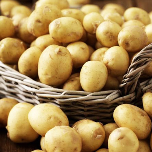 

Насіння картопля Фермер