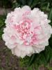 800x600-1749382494976_1000002893.jpg
