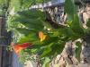 800x600-1721139214673_IMG_8237.jpeg