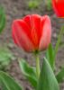 800x600-1554297512713_DSC_0057_2_.jpg
