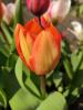 800x600-1587127965181_photo_2020-04-17_15-51-22.jpg