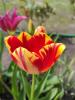800x600-1588516097463_photo_2020-05-03_17-26-34.jpg