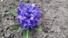 800x600-1586725457446_IMG_20200411_131127_BURST1.jpg