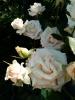 800x600-1664283092861_IMG_20200626_144254.jpg