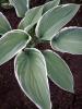 800x600-1664357515255_IMG_20200523_193519_9.jpg