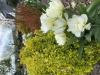 800x600-1714203260461_IMG_4867.jpeg