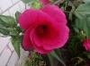 800x600-1587985281175_P60814-200318.jpg