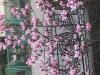 800x600-1577543554152_74B3A443-207F-49AD-AD02-E6A027403614.jpeg