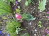 800x600-1714026156840_IMG_8872.jpeg